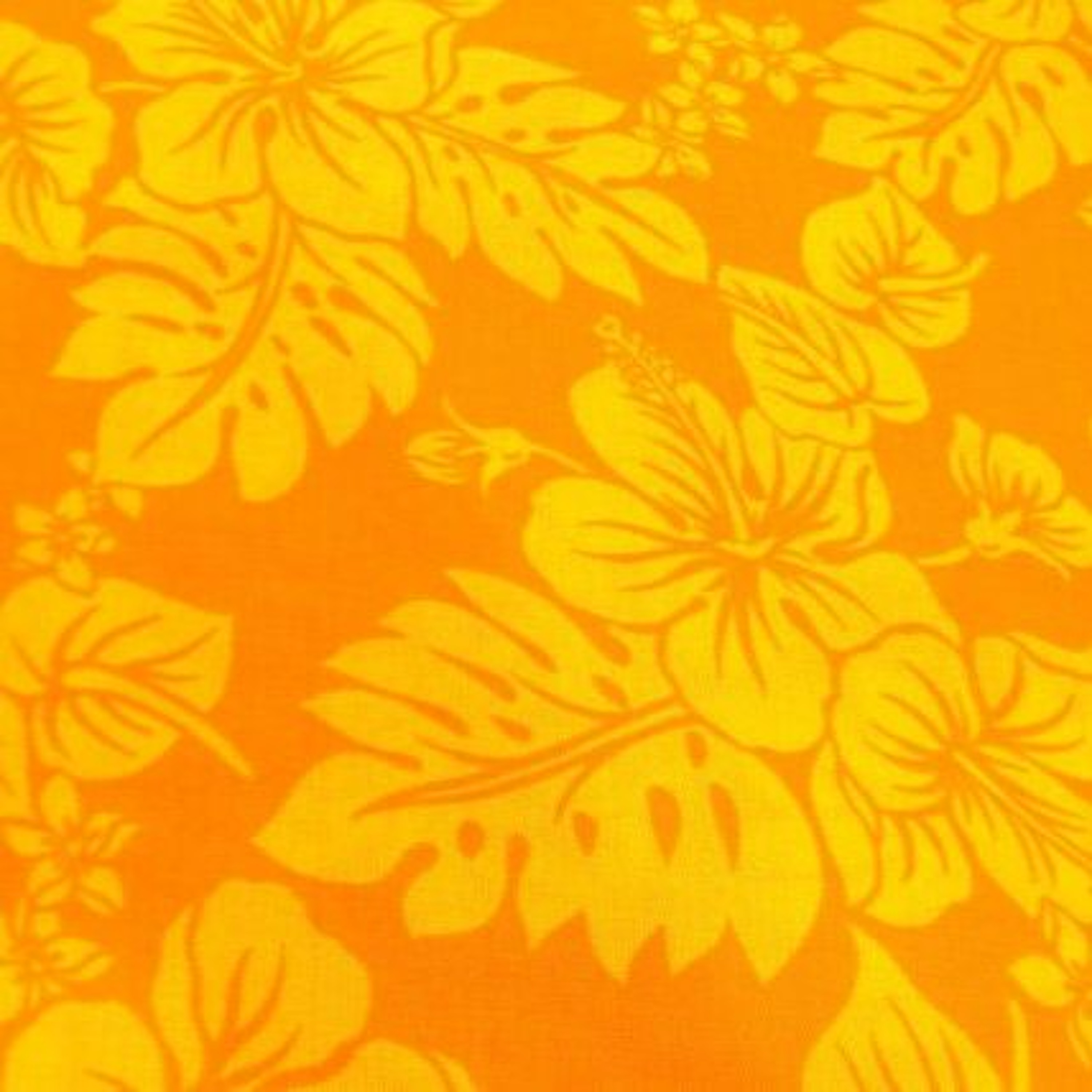 Tropical Yellow - Orange episode artwork