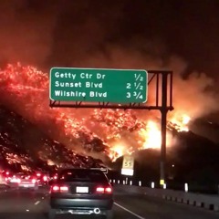 Recent Favorite Reposts