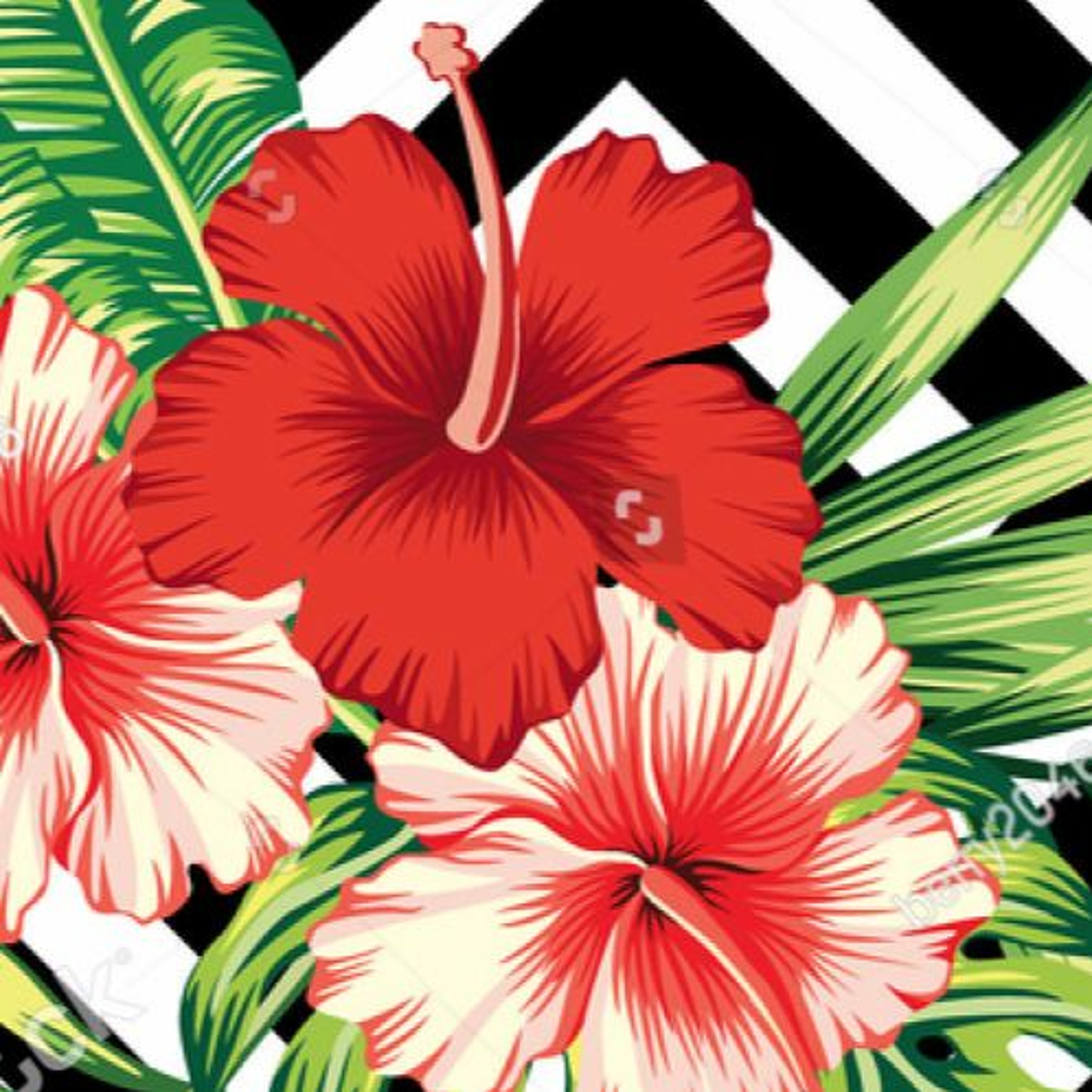 Tropical Red episode artwork