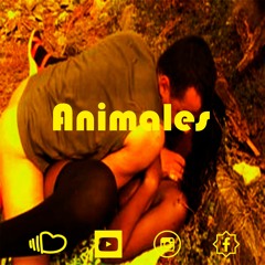 Pimp Sida - Animales