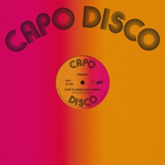 A. Flight To Jamaica (Cool Runnings)