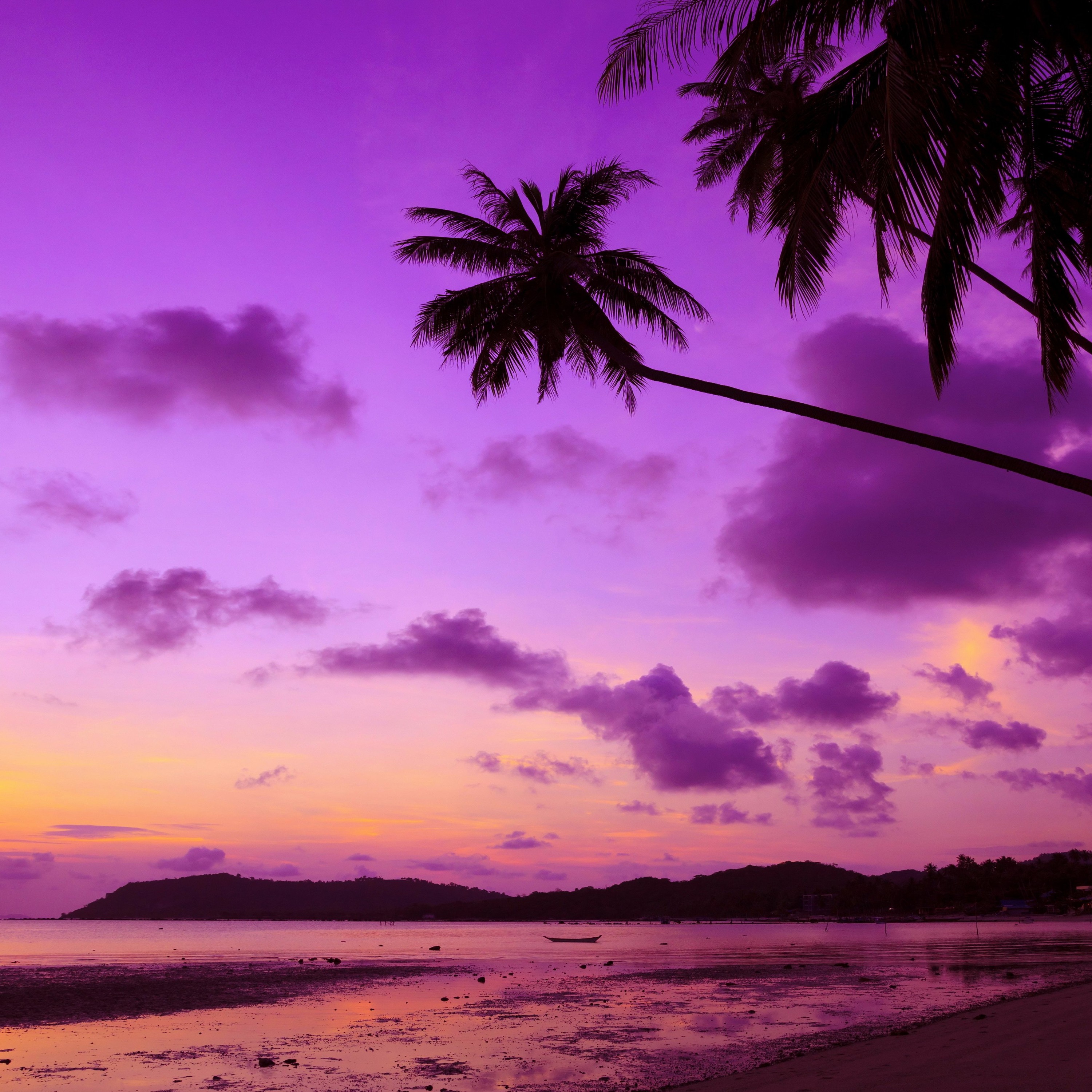 Tropical Purple -Violett episode artwork