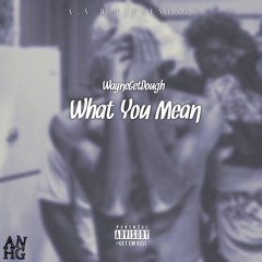 WayneGetDough - What U Mean (Prod By. SammyP)