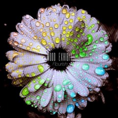 Mood Exhibit- Flourish