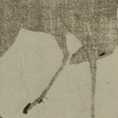 Andrea penso - Esserci Animale, Momento II