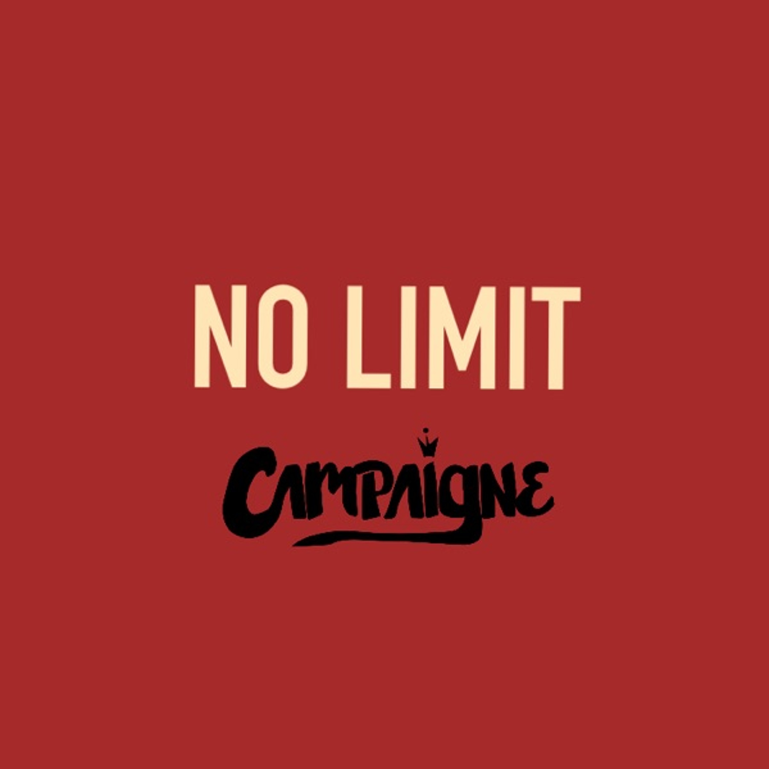 No Limit (Remix)(Produced By Boi-1da & Allen Ritter) episode artwork