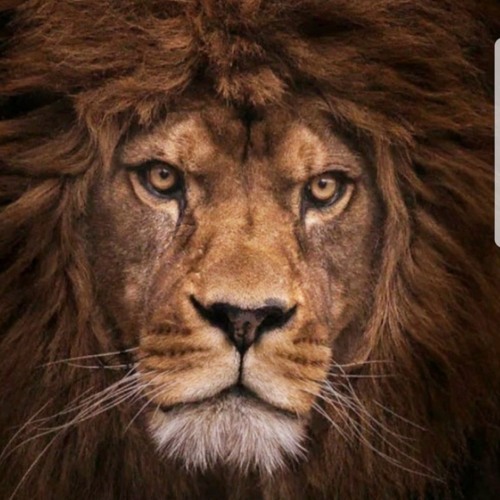 New private playlist