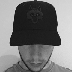Blackout Gang: Lone Wolf
