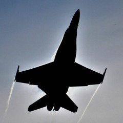 Aviant