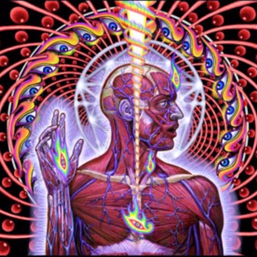 Stream JoJo Paquin Listen to TOOL Greatest Hits playlist online for