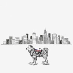 Perro bomba - Cancion 2