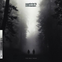Gabriel & Dresden feat. Sub Teal — I'm Not Like Everybody Else