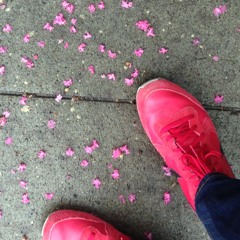 Sad Pony Guerilla Girl (Xiu Xiu cover)