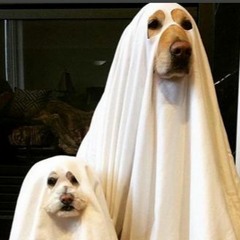 Two Ghosts