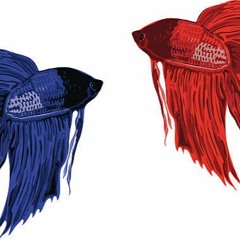 Herbie (Original Mix)