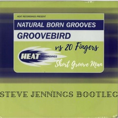 Natural Born Grooves V 20 Fingers - Short Groove Man (Steve Jennings Bootleg)