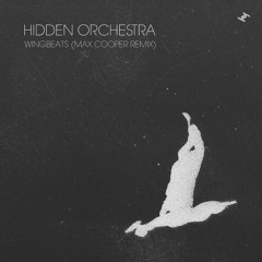 Hidden Orchestra - Wingbeats (Max Cooper Remix - Radio Edit)