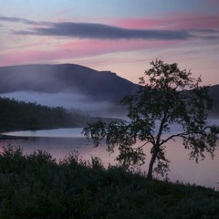 Lasse Bergtagen (2017)