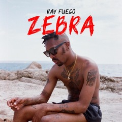 RAY FUEGO - ZEBRA (instrumental)