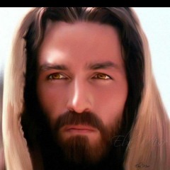 ارجع ياغالى هانى نبيل