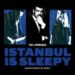 PREMIERE : The Limiñanas feat. Anton Newcombe - Istanbul Is Sleepy (Arnaud Rebotini) [BECAUSE]
