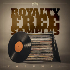 Royalty Free Samples Vol.1 Audio Demo (Prod by 2Deep Beats)