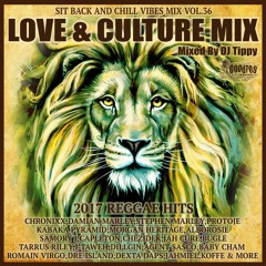 LOVE & CULTURE MIX -2017 REGGAE HITS- Mixed By DJ TIPPY (GOODIES SOUND Japan)