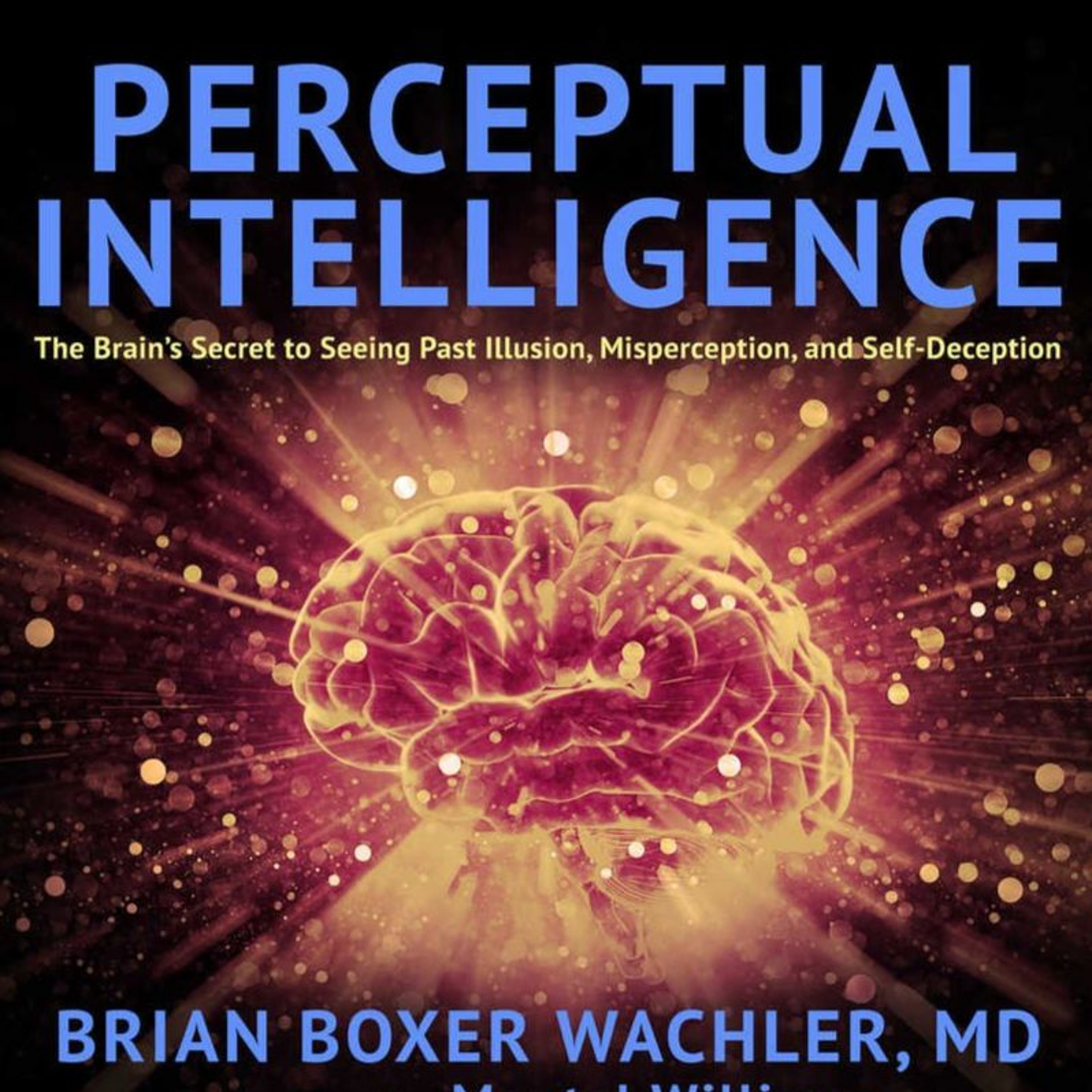 The Magical Mystery Tour Dec 8 2017 Perceptual Intelligence & Embracing Otherness episode artwork