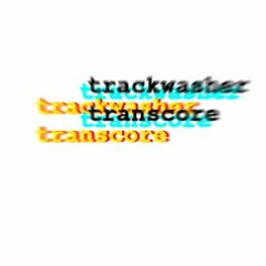 TRACKWASHER  - transcore