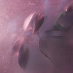 Seb Legrand - Saturator (ROM 3Ø3 Remix) **Preview**