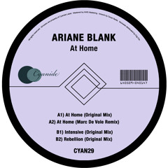 Remixes