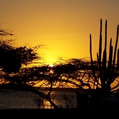 Immortal Feat. G. Wizz