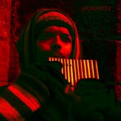 MONARTEK "Sylvain Durif Hardtek"