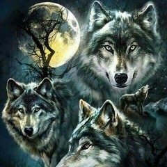 Concrete ft Fyna and Big sleep