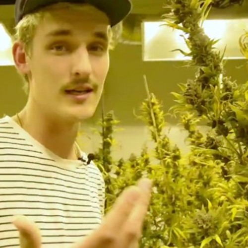 Griz - P B & J (Pretty Busted and Jank)