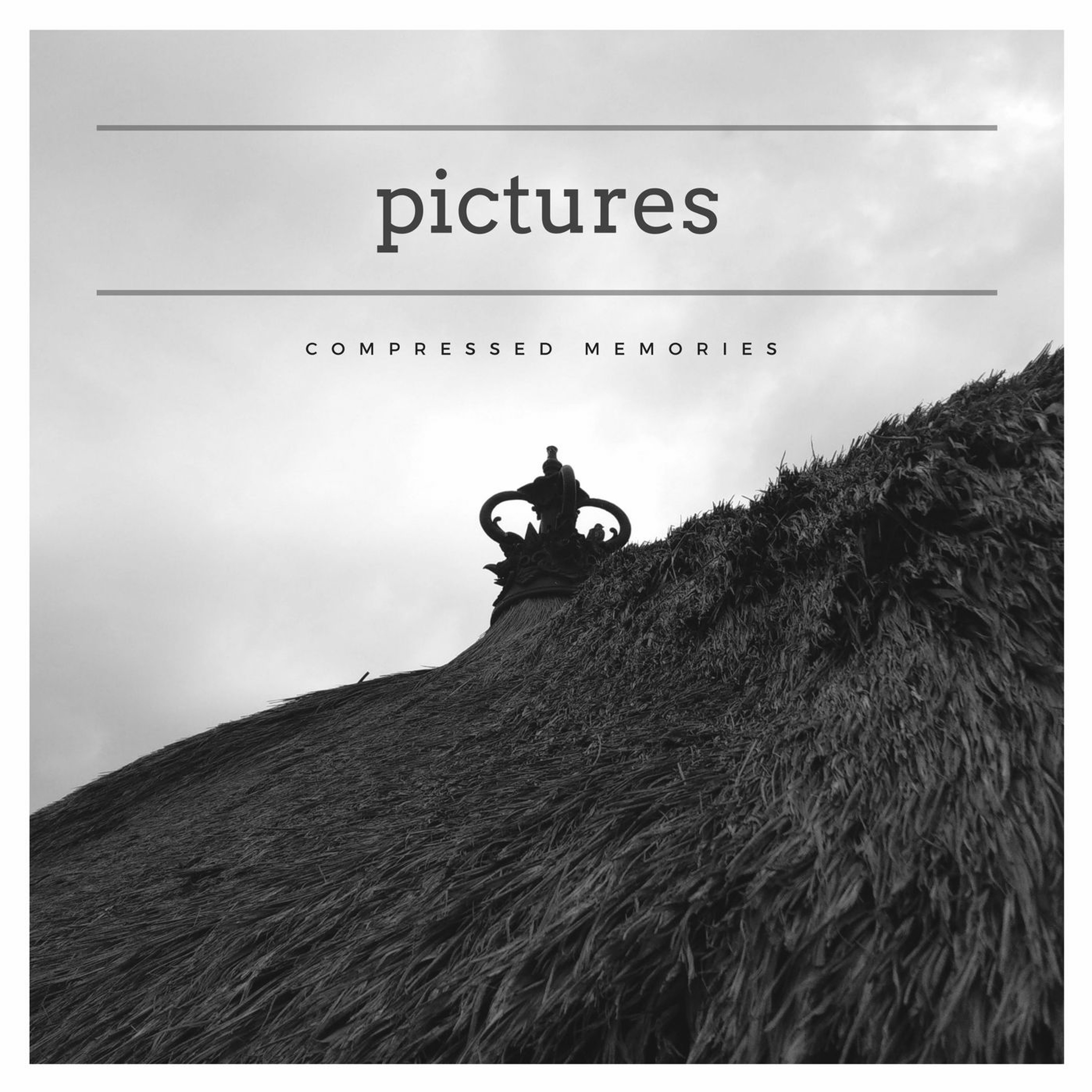 Pictures episode artwork