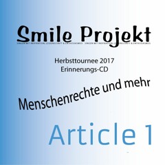 Article 1 (English)