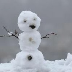 Der Schneemann