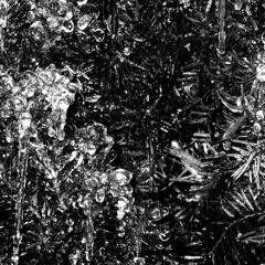 black ice.[roughcut]