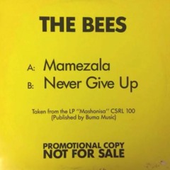 The Bees - Never Give Up (Flamingo KG 2018 Rework)