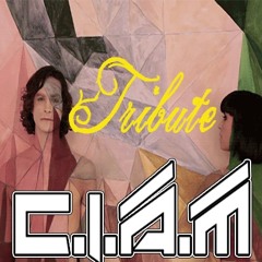 FREE DOWNLOAD - CIAM (TRIBUTE- GOTYE SOMEBODY THAT I USED TO KNOW