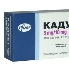 NO DADS ALLOWED - XANTHONY XANTANO