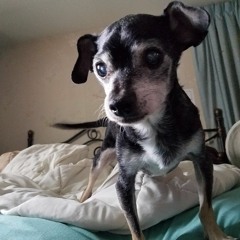 InMemoryOfYouComradeOtto<3