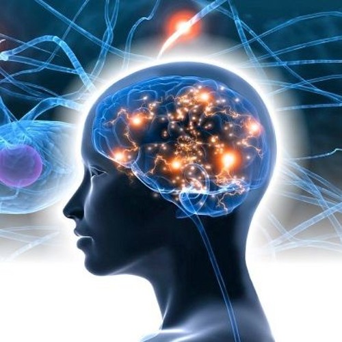 Stream ALCHEMICAL WIZARD 3 : NeuroScience / Brain Foods by Travis ...
