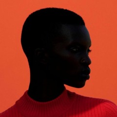 Big Girl Little Girl