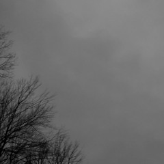 Maybe I Care, Maybe I Don't, Who Cares