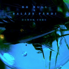 KK NULL & BALAZS PANDI / DemonCore Track - 1