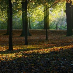 EDM STUDY MIX - DJ LANDDONN MIX