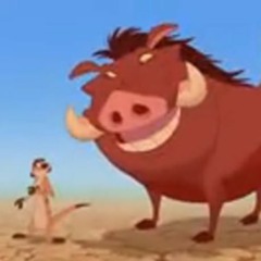 Havana But It's Hakuna Matata