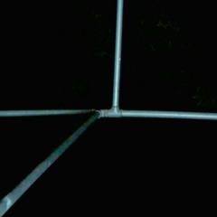 Josip Petrov - Driver